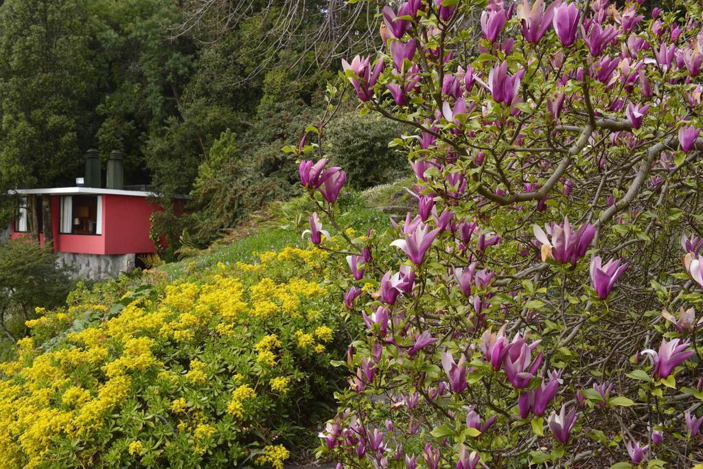 Hotel Antumalal Pucon Bagian luar foto